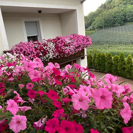 Garni San Paolo Hotel Appiano Sulla Strada Del Vino Bagian luar foto