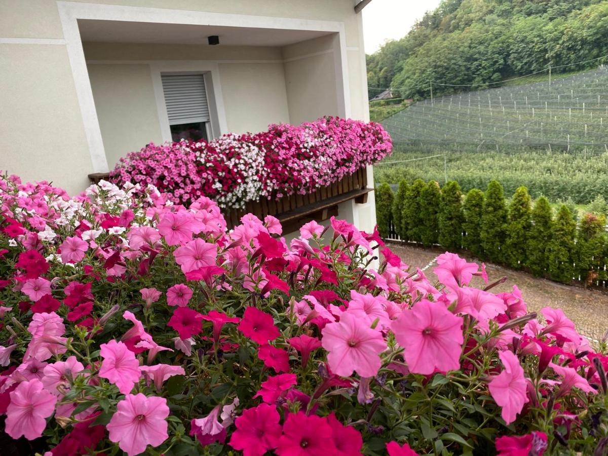 Garni San Paolo Hotel Appiano Sulla Strada Del Vino Bagian luar foto