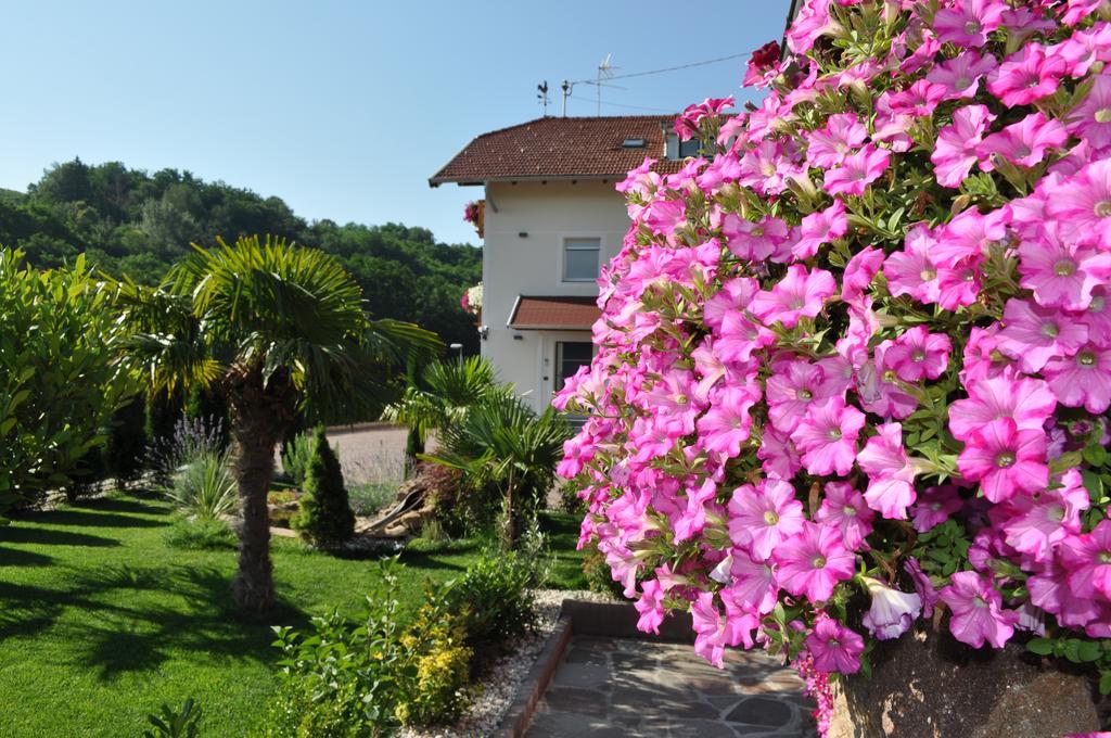 Garni San Paolo Hotel Appiano Sulla Strada Del Vino Bagian luar foto