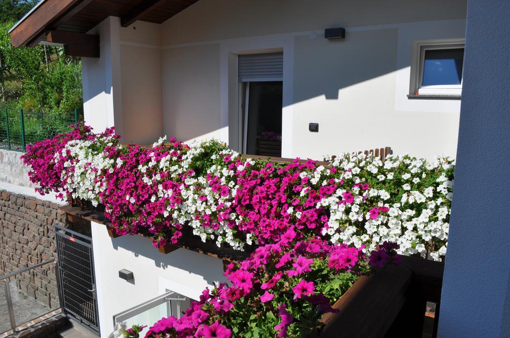 Garni San Paolo Hotel Appiano Sulla Strada Del Vino Bagian luar foto