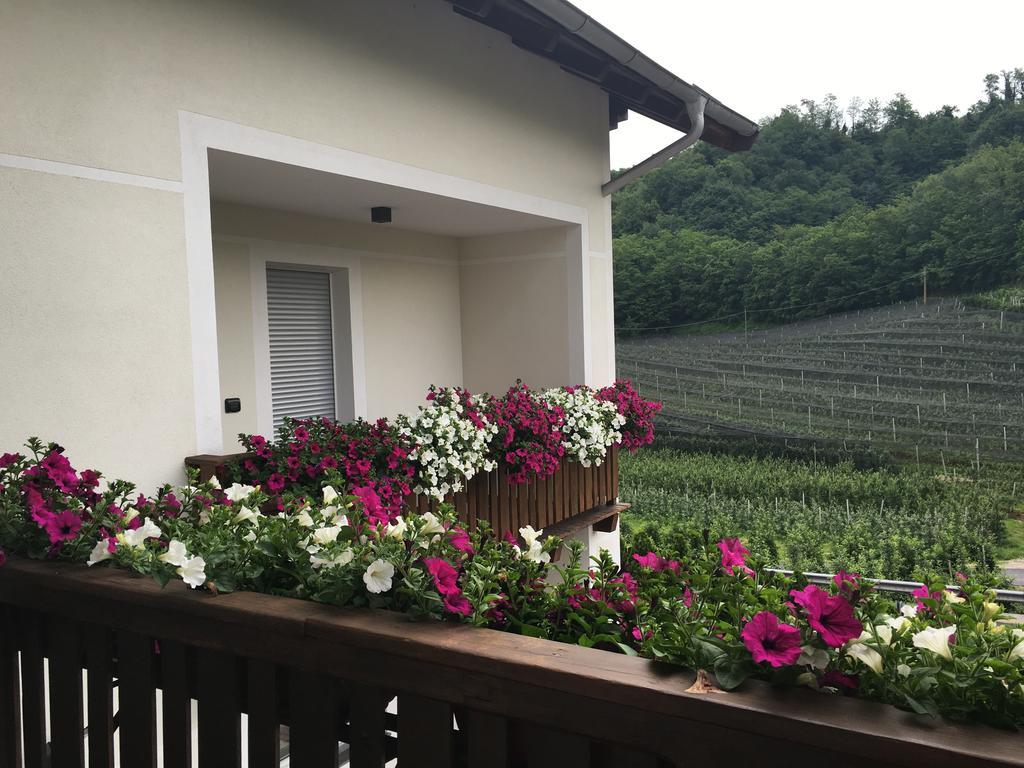 Garni San Paolo Hotel Appiano Sulla Strada Del Vino Bagian luar foto