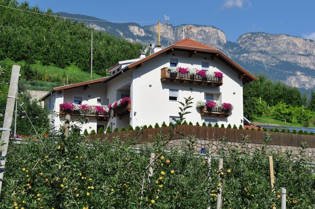 Garni San Paolo Hotel Appiano Sulla Strada Del Vino Bagian luar foto