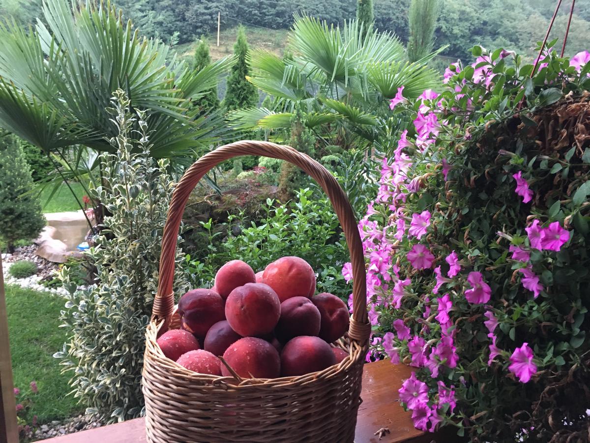 Garni San Paolo Hotel Appiano Sulla Strada Del Vino Bagian luar foto