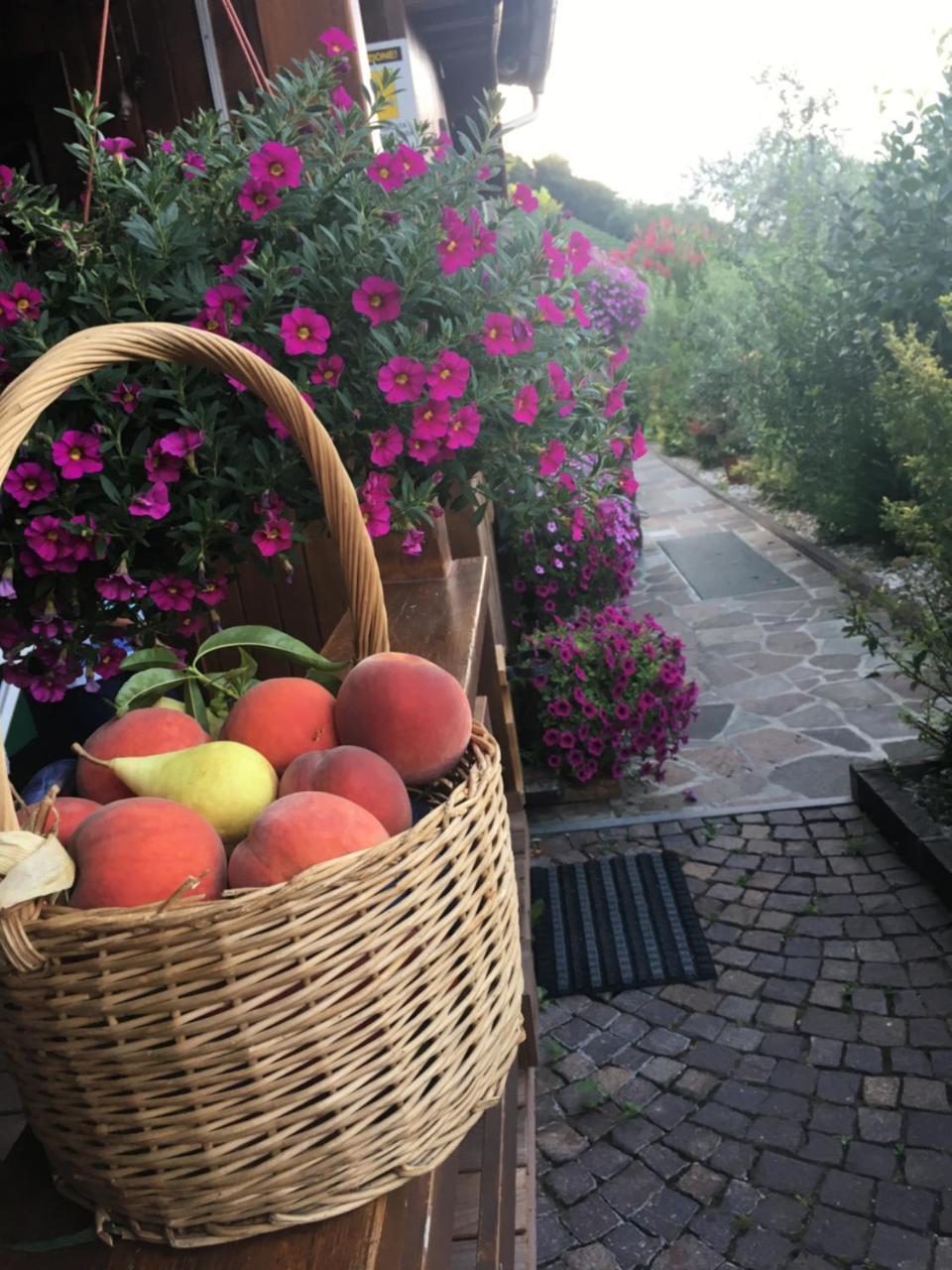 Garni San Paolo Hotel Appiano Sulla Strada Del Vino Bagian luar foto