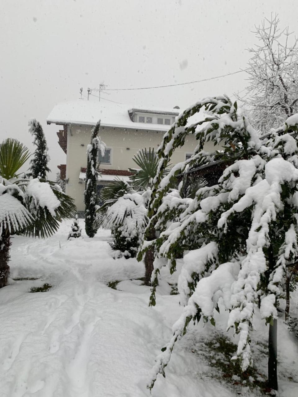 Garni San Paolo Hotel Appiano Sulla Strada Del Vino Bagian luar foto