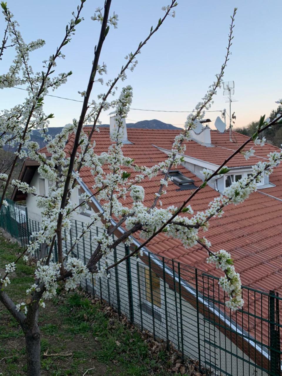 Garni San Paolo Hotel Appiano Sulla Strada Del Vino Bagian luar foto