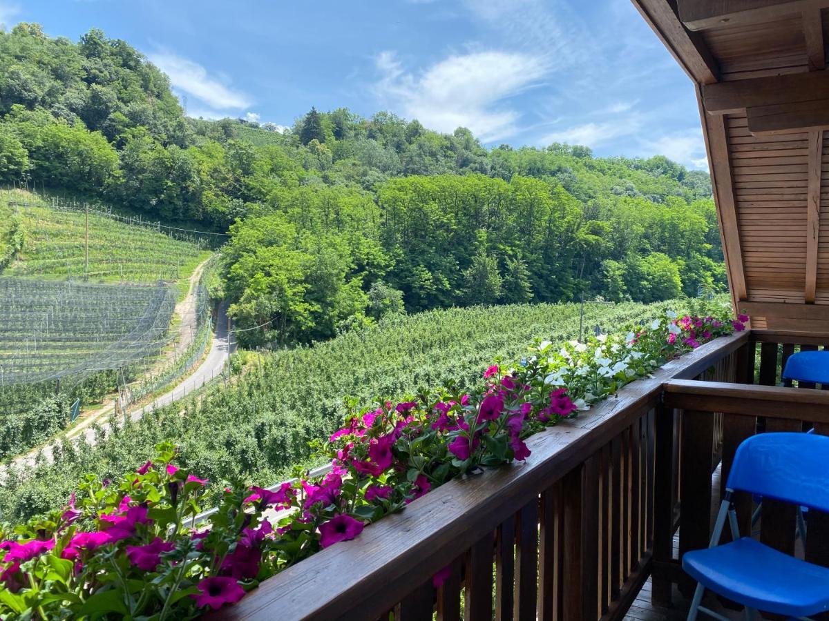 Garni San Paolo Hotel Appiano Sulla Strada Del Vino Bagian luar foto