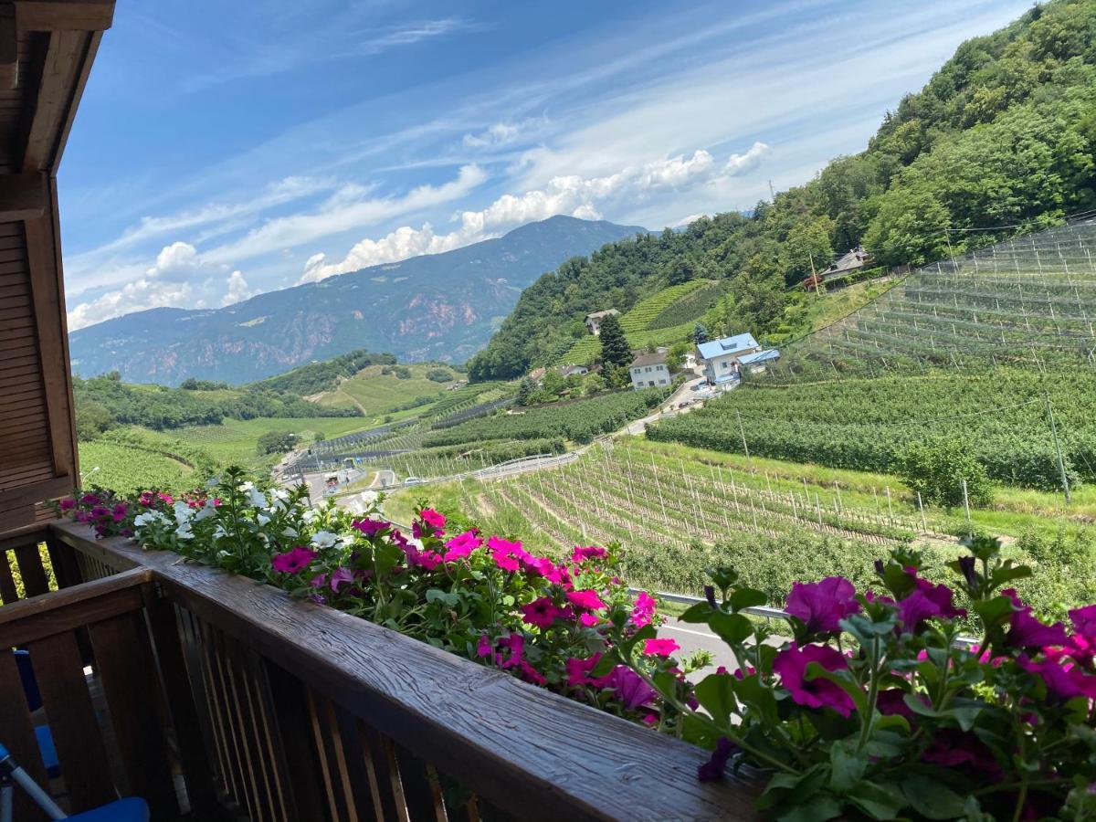 Garni San Paolo Hotel Appiano Sulla Strada Del Vino Bagian luar foto