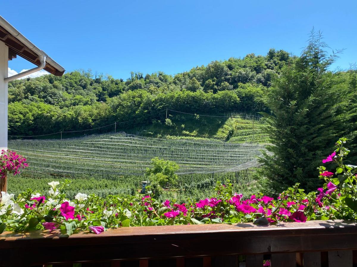 Garni San Paolo Hotel Appiano Sulla Strada Del Vino Bagian luar foto